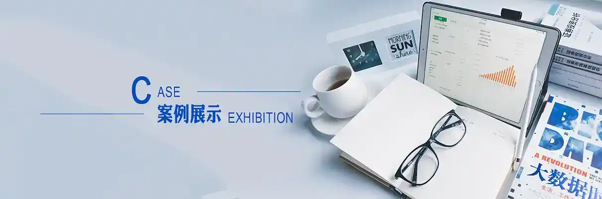 海城市软件开发